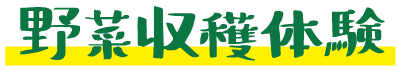 野菜収穫体験