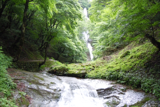 うわの高原号