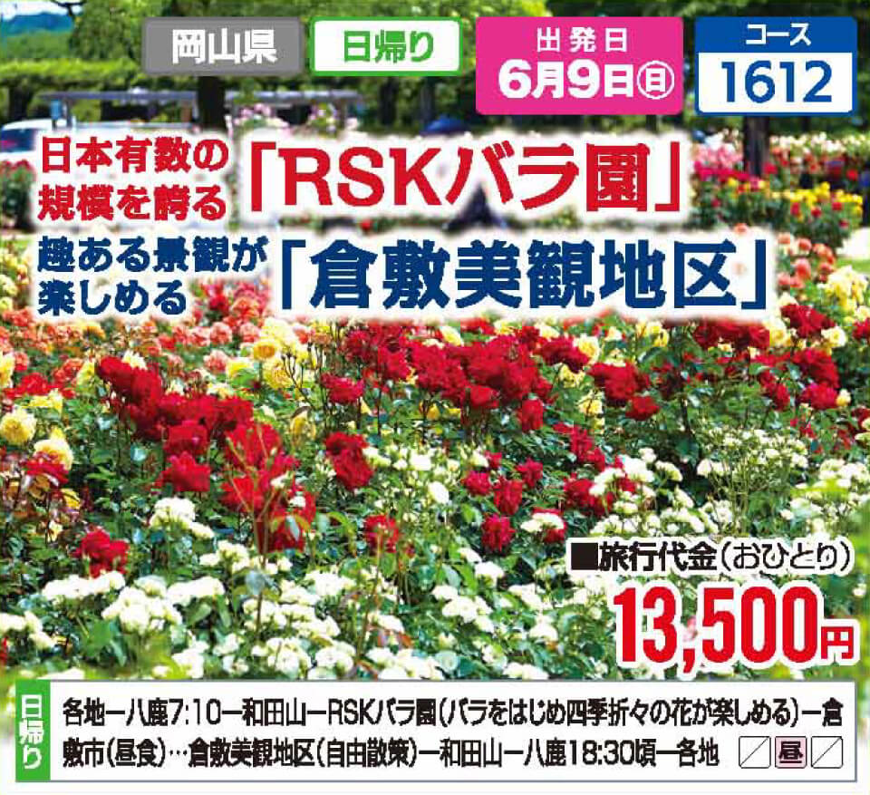 日本有数の規模を誇る「RSKバラ園」 趣ある景観が楽しめる「倉敷美観地区」