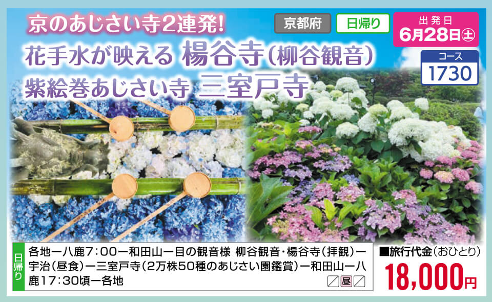 京のあじさい寺2連発！花手水が映える 楊谷寺（柳谷観音）紫絵巻あじさい寺 三室戸寺