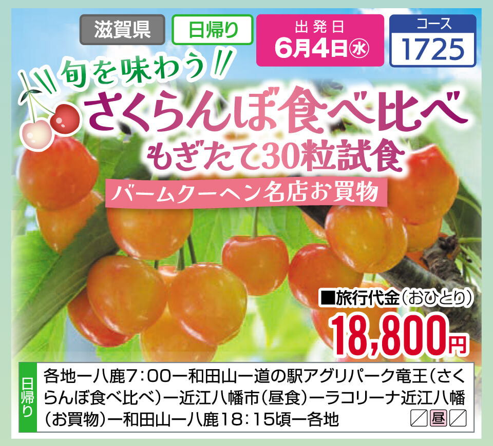 旬を味わう さくらんぼ食べ比べ もぎたて30粒試食 バームクーヘン名店お買物