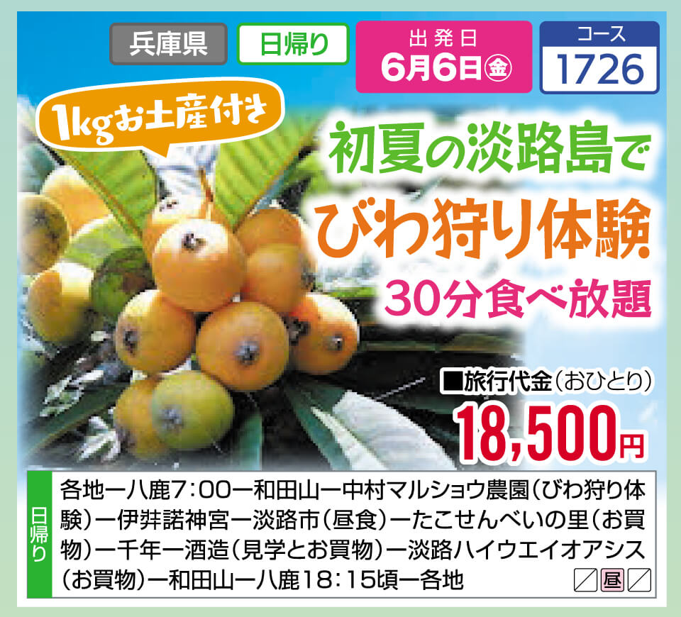 初夏の淡路島でびわ狩り体験 30分食べ放題（1kgお土産付き）