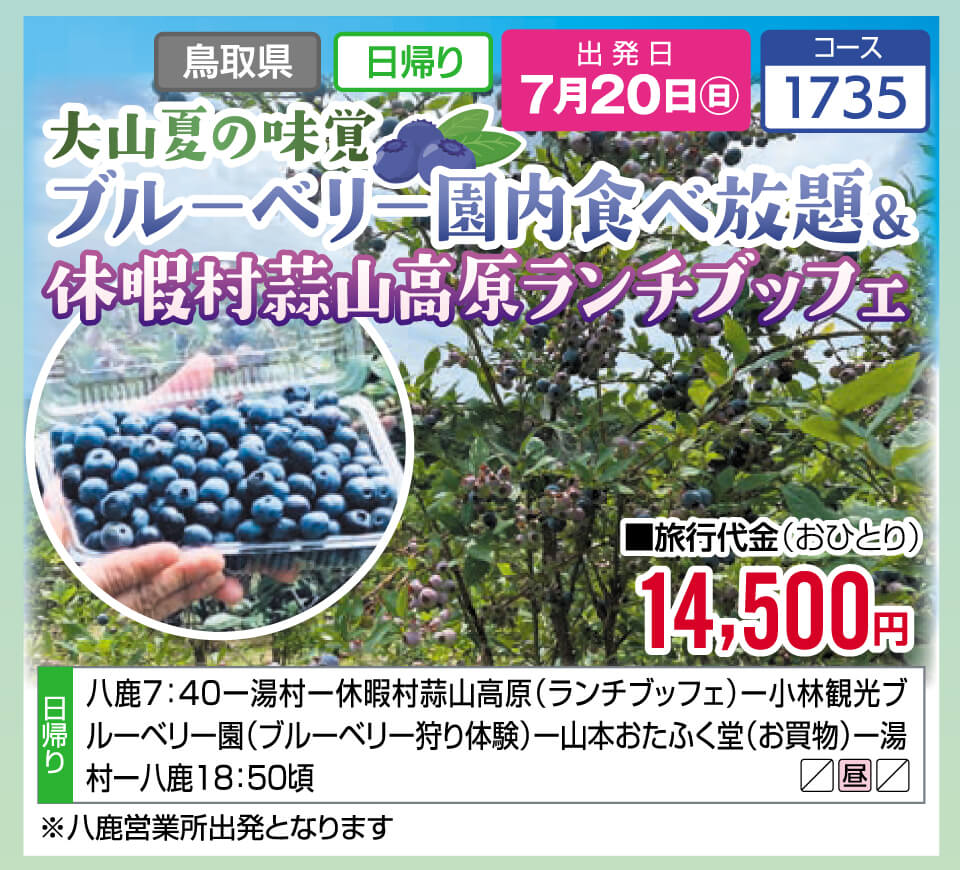 大山夏の味覚 ブルーベリー園内食べ放題＆休暇村蒜山高原ランチブッフェ