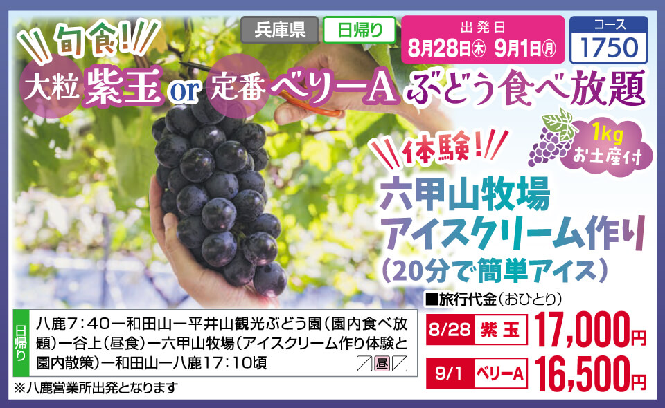 旬食！大粒紫玉or定番ベリーA ぶどう食べ放題　六甲山牧場アイスクリーム作り（20分で簡単アイス）【お土産付】