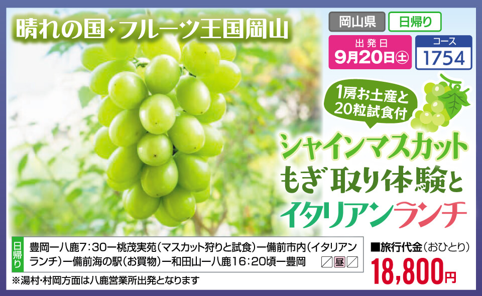 晴れの国・フルーツ王国岡山 シャインマスカットもぎ取り体験とイタリアンランチ【お土産と試食付】