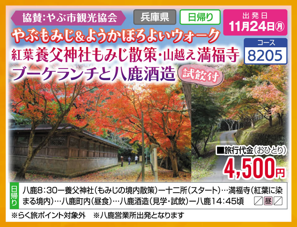 協賛：やぶ市観光協会 やぶもみじ＆ようかほろよいウォーク 紅葉養父神社もみじ散策・山越え満福寺 ブーケランチと八鹿酒造【試飲付】
