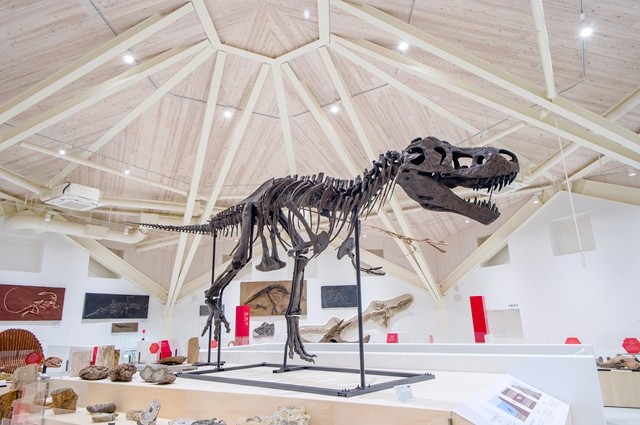 玄武洞ミュージアム