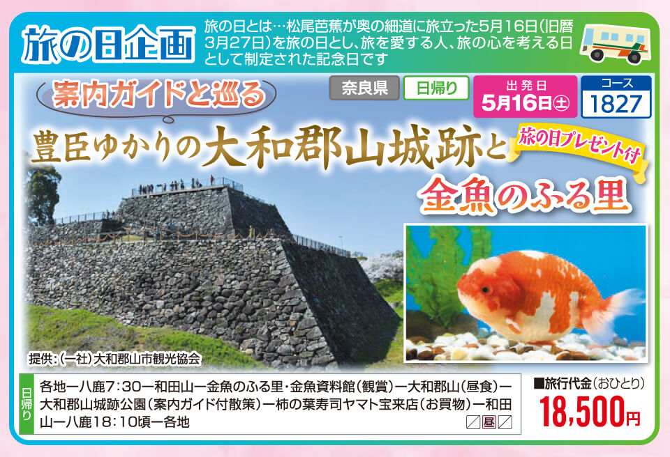 【旅の日企画】案内ガイドと巡る 豊臣ゆかりの大和郡山城跡と金魚のふる里【旅の日プレゼント付】