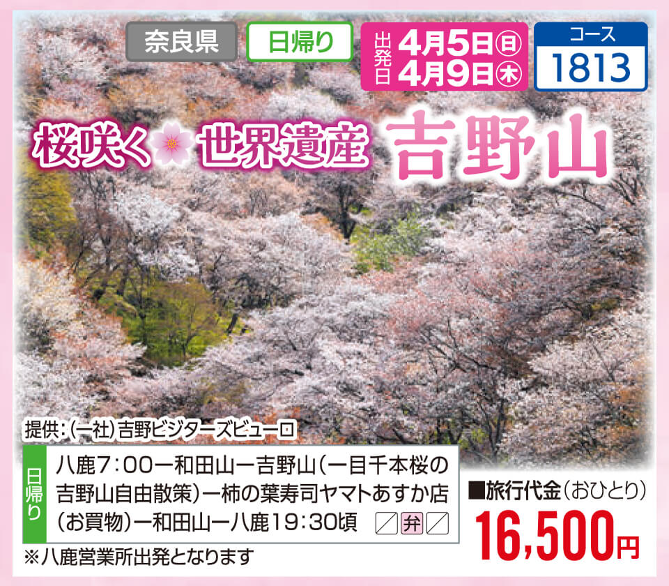 桜咲く 世界遺産 吉野山