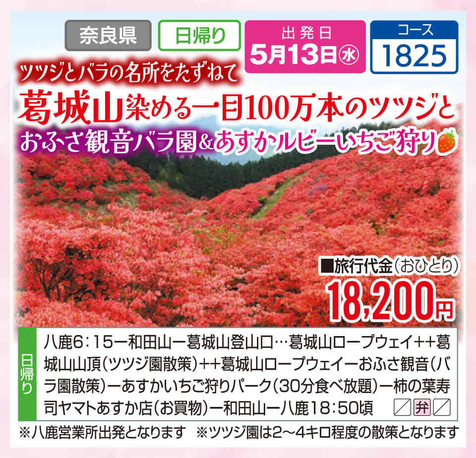 ツツジとバラの名所をたずねて 葛城山染める一目100万本のツツジとおふさ観音バラ園＆あすかルビーいちご狩り