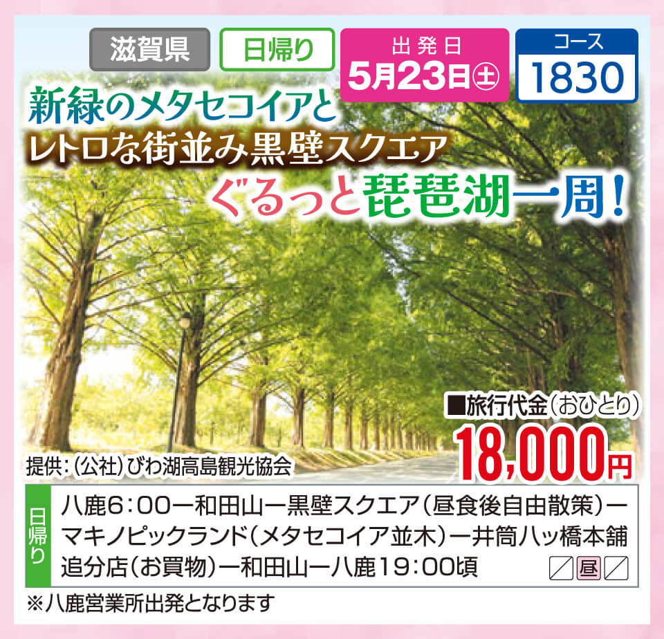 新緑のメタセコイアとレトロな街並み黒壁スクエア ぐるっと琵琶湖一周！