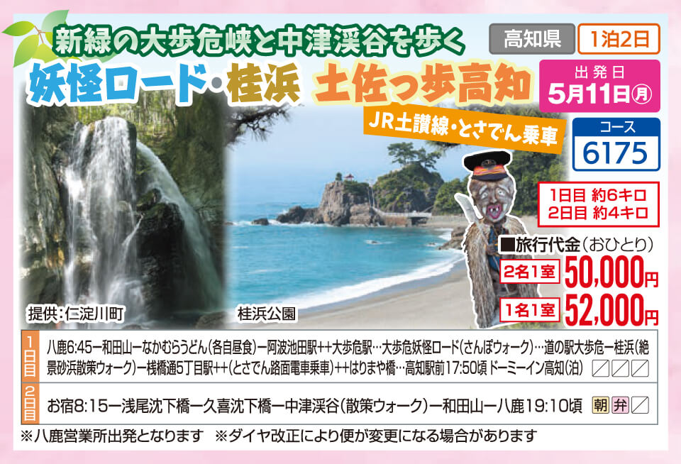 新緑の大歩危峡と中津渓谷を歩く 妖怪ロード・桂浜 土佐っ歩高知 JR土讃線・とさでん乗車