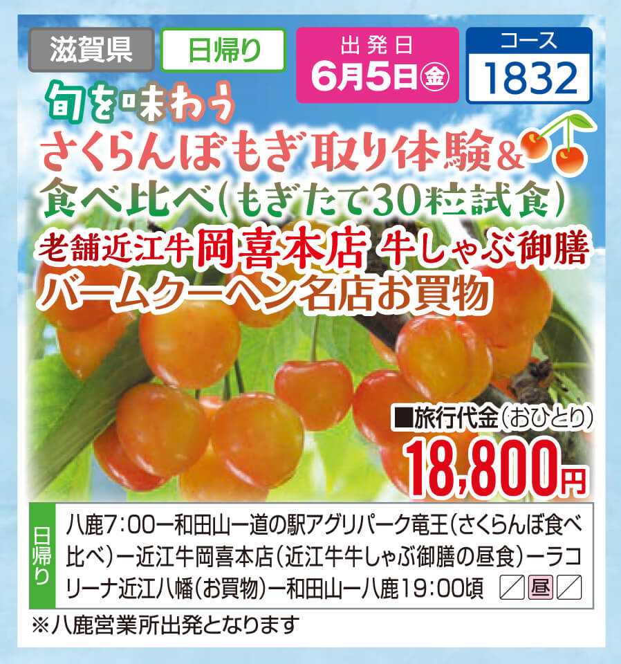 旬を味わう さくらんぼもぎ取り体験＆食べ比べ（もぎたて30粒試食）老舗近江牛 岡喜本店 牛しゃぶ御膳 バームクーヘン名店お買物
