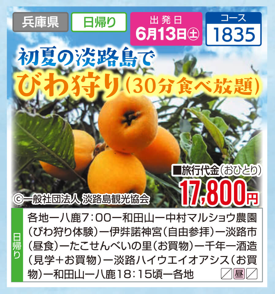 初夏の淡路島でびわ狩り（30分食べ放題）