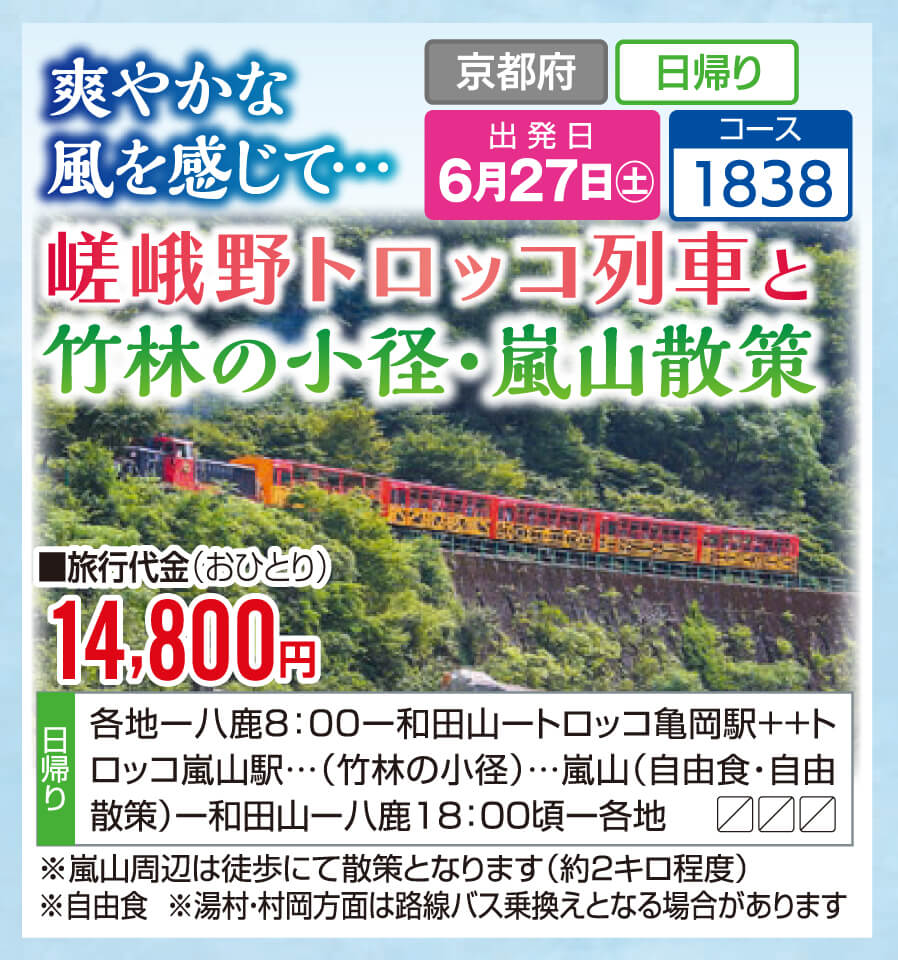 爽やかな風を感じて・・・ 嵯峨野トロッコ列車と竹林の小径・嵐山散策