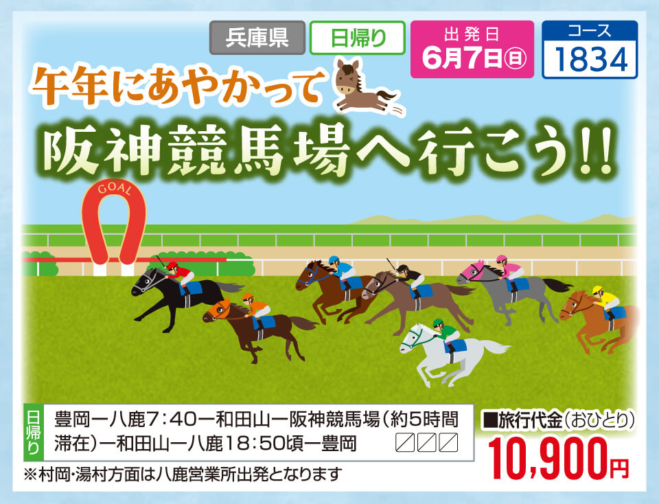 午年にあやかって 阪神競馬場へ行こう！！