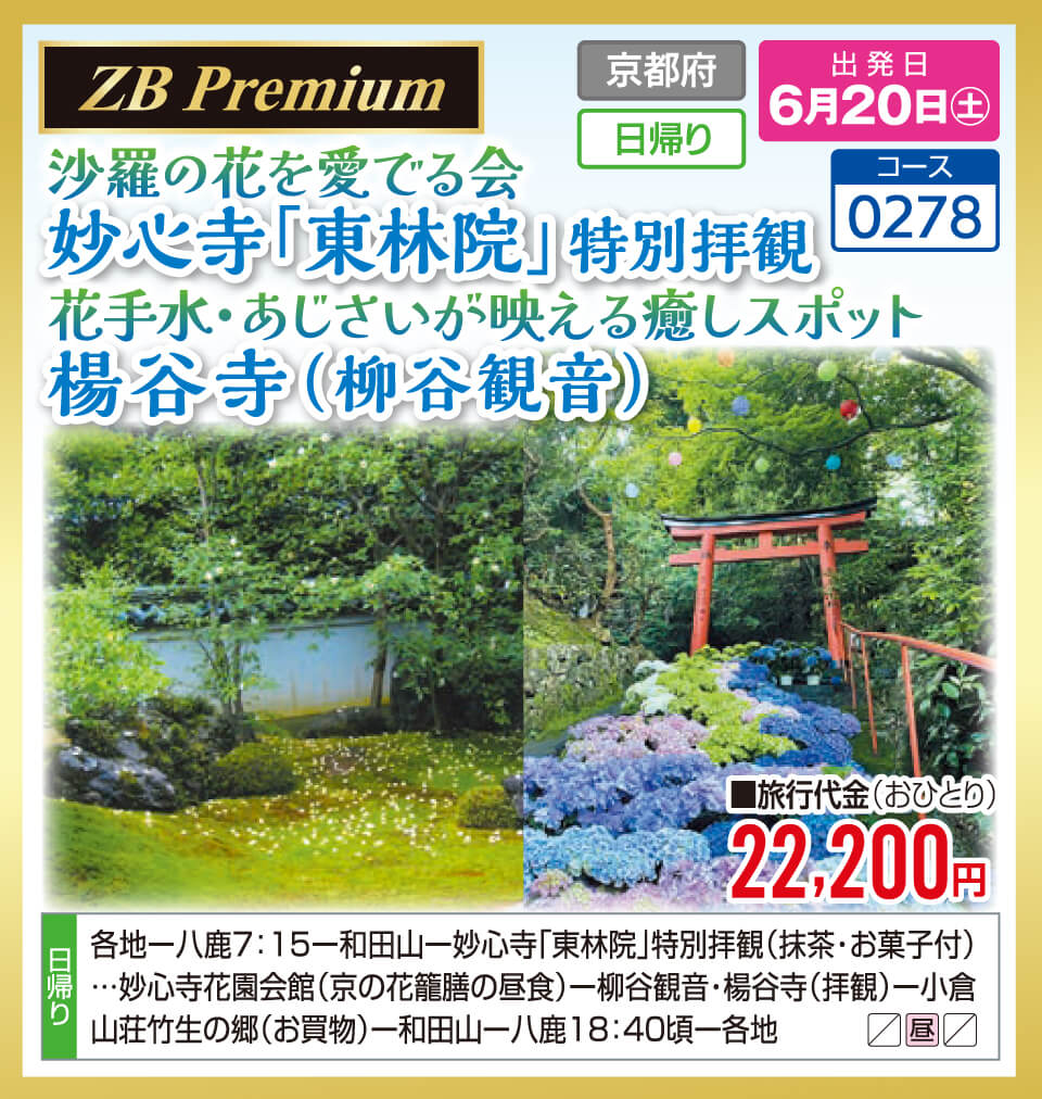 【ZB Premium】沙羅の花を愛でる会 妙心寺「東林院」特別拝観 花手水・あじさいが映える癒しスポット 楊谷寺（柳谷観音）