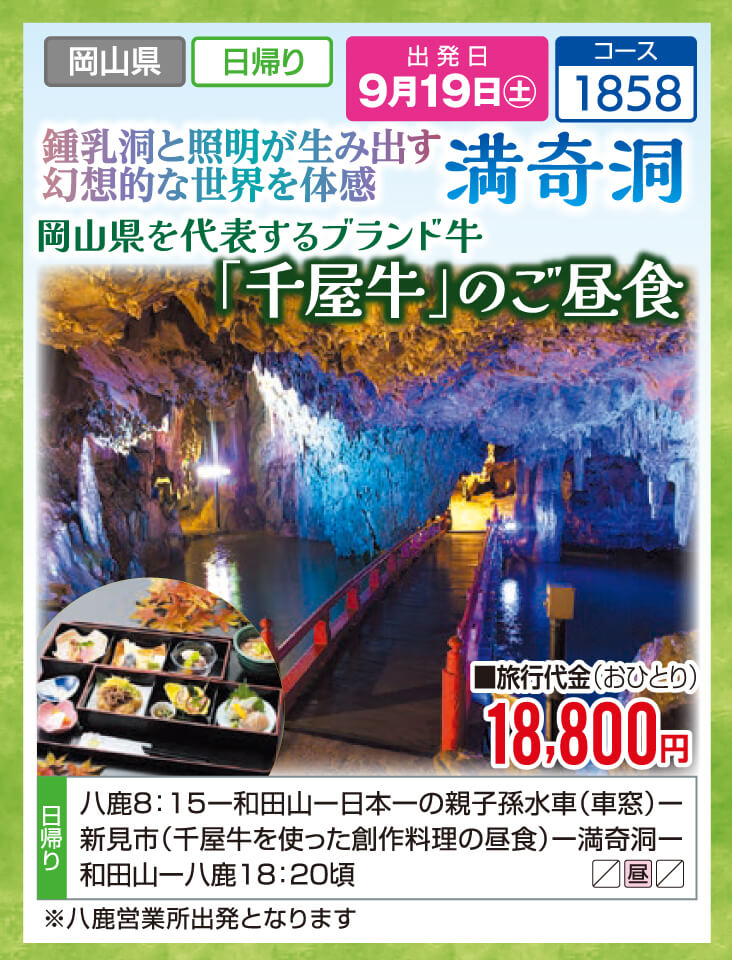 鍾乳洞と照明が生み出す幻想的な世界を体感 満奇洞　岡山県を代表するブランド牛「千屋牛」のご昼食