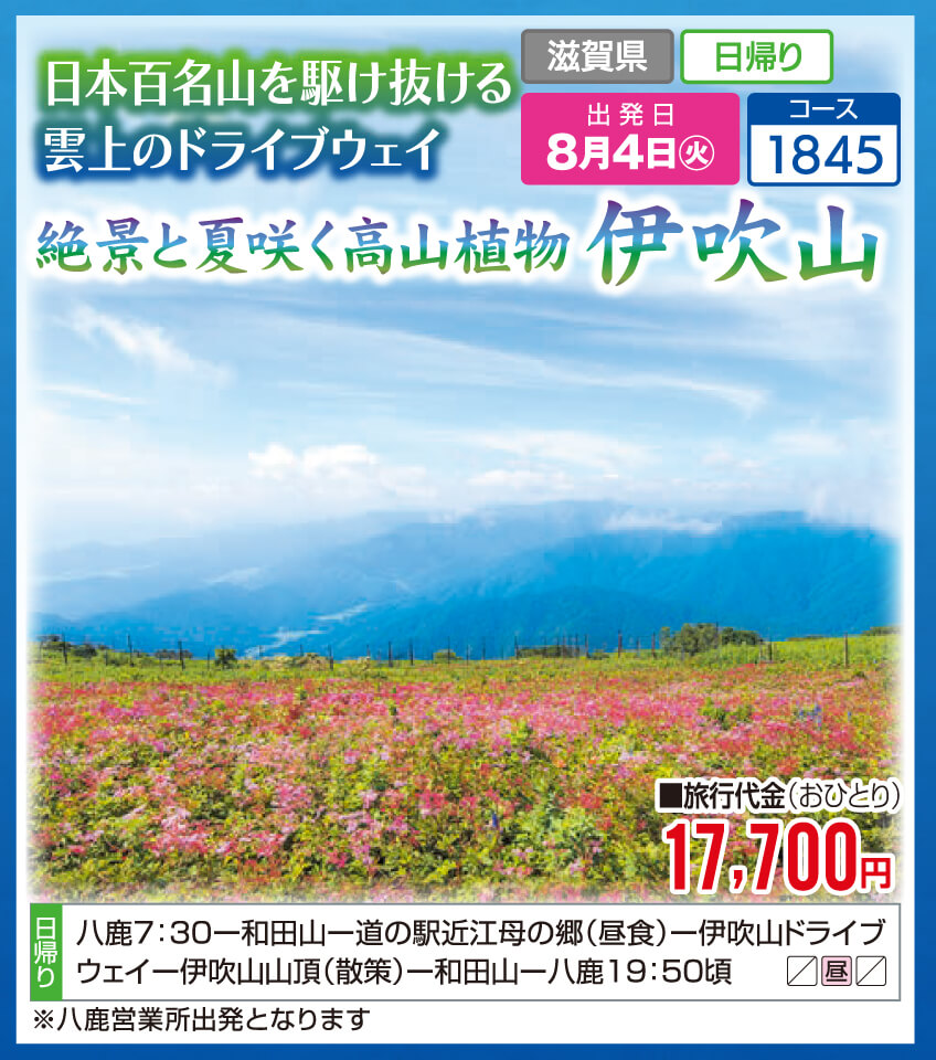 日本百名山を駆け抜ける雲上のドライブウェイ 絶景と夏咲く高山植物 伊吹山