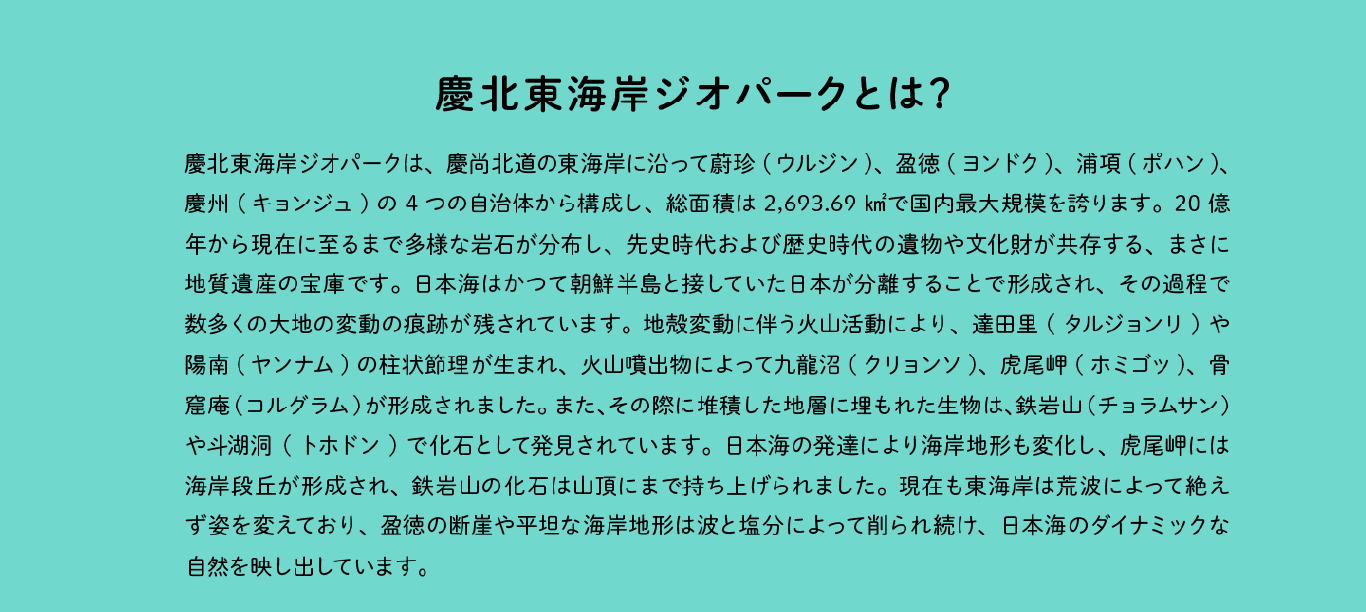 案内 8