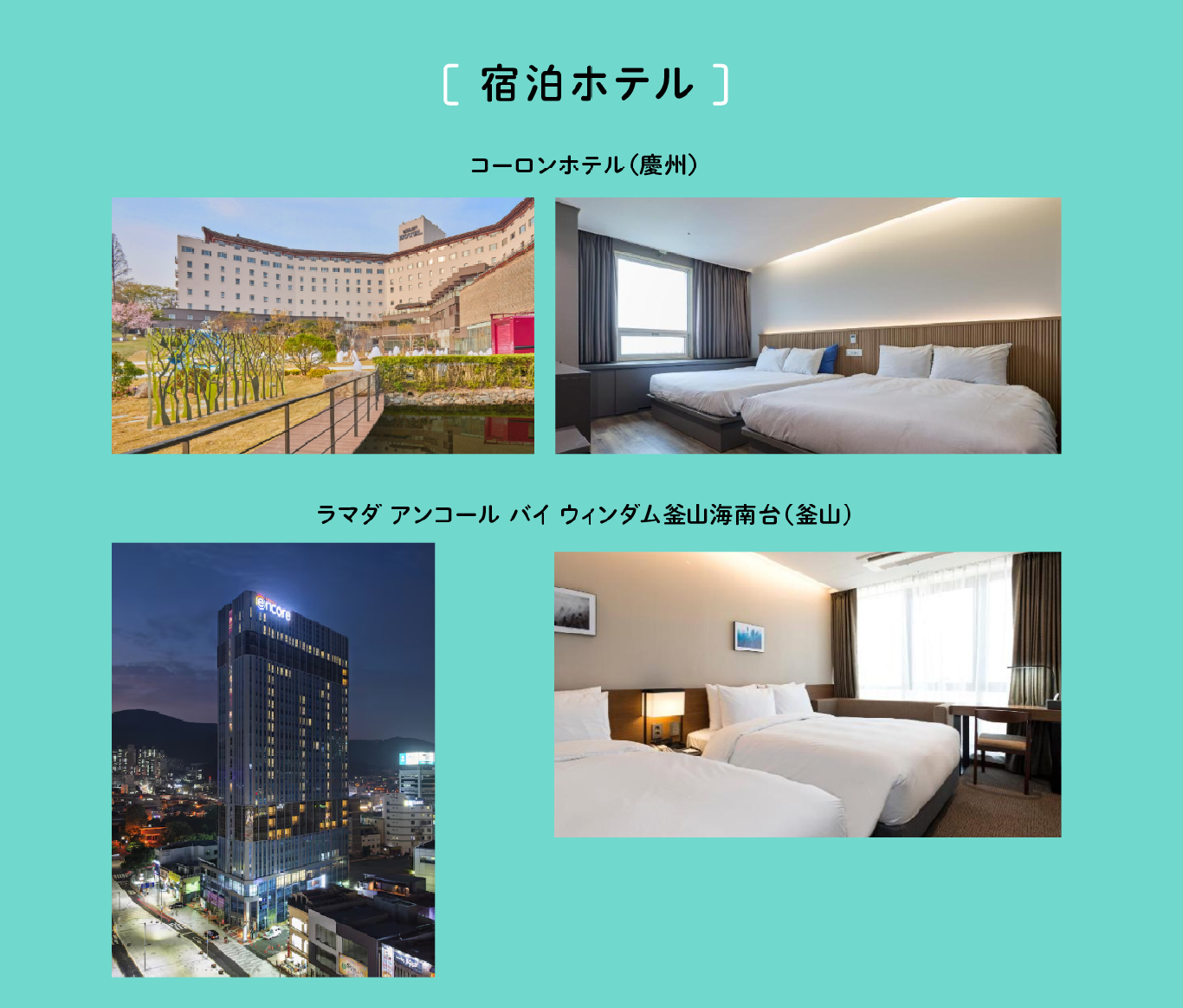 案内 16