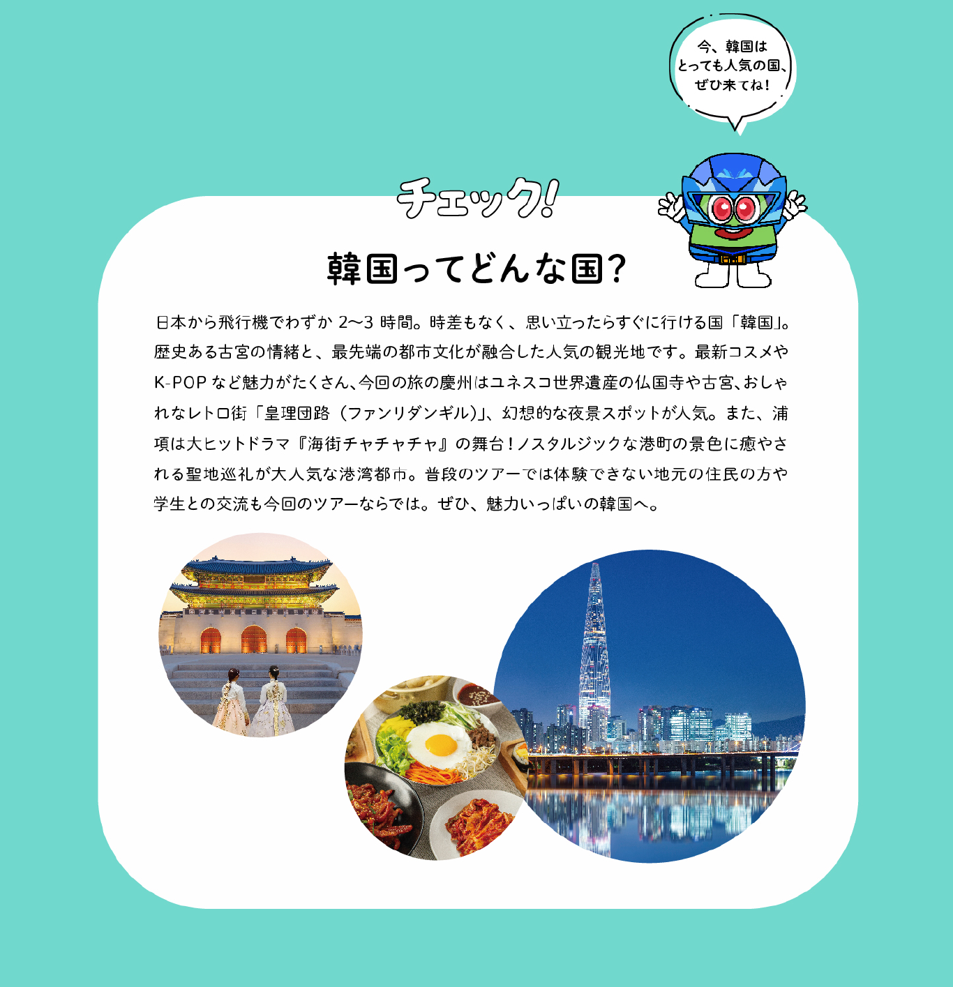 案内 17
