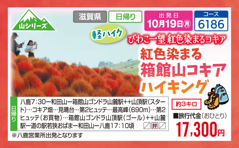 【山シリーズ】軽ハイク びわこ一望紅色染まるコキア 紅色染まる箱館山コキア ハイキング