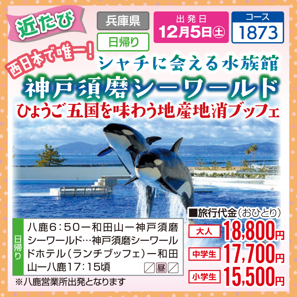 【近たび】西日本で唯一！シャチに会える水族館 神戸須磨シーワールド ひょうご五国を味わう地産地消ブッフェ