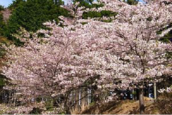 山城の郷 周辺観光スポット